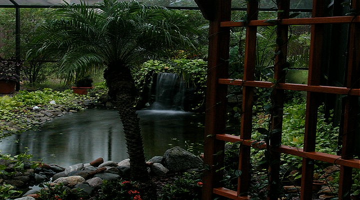 View of pond from arbor.