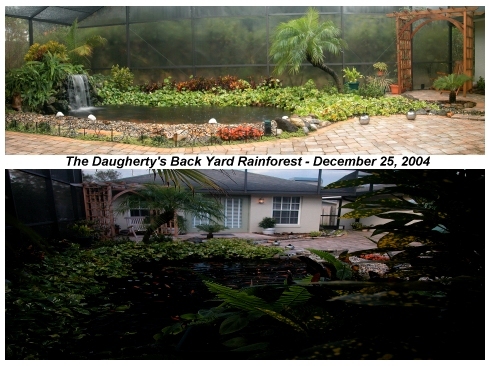 Back Yard Office and Pond